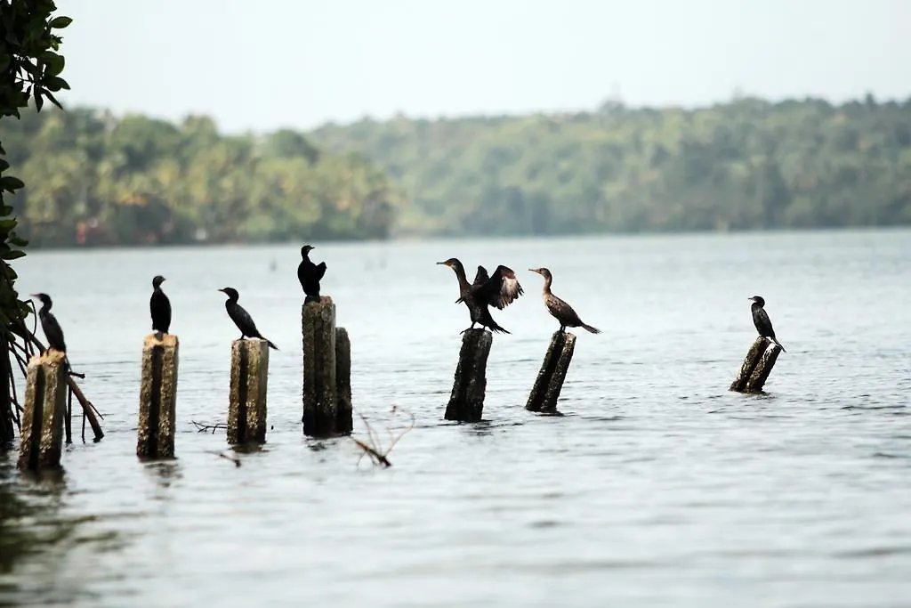 Farm stay Vinis Farm - A Private Island Stay -Privacy Redefined !!! Mundrothuruth India